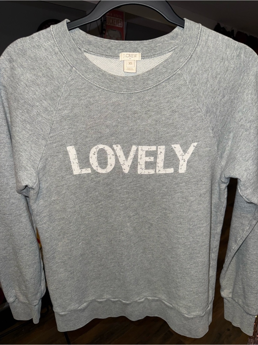 J.Crew LOVELY Lace Appliqué Sweatshirt XS Gray Raglan Crewneck